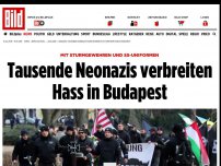 Bild zum Artikel: Mit Waffen und SS-Uniformen - Tausende Neonazis marschieren durch Budapest