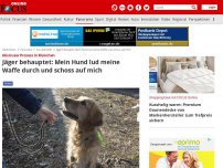 Bild zum Artikel: Verwaltungsgericht München - Abstruser Fall: Hund soll Waffe geladen und auf Jäger geschossen haben