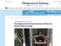 Bild zum Artikel: Artenschutz: Die Vögel in Deutschland sterben, füttern im Winter hilft da wenig