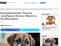 Bild zum Artikel: Kolumbianischer Tierarzt verpflanzte Heroin-Pakete in Hundewelpen