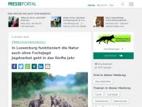 Bild zum Artikel: In Luxemburg funktioniert die Natur auch ohne Fuchsjagd / Jagdverbot geht in das fünfte Jahr