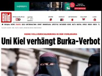 Bild zum Artikel: Keine Vollverschleierung - Kieler Uni verhängt Burka-Verbot
