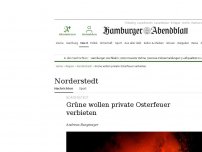 Bild zum Artikel: Norderstedt: Grüne wollen private Osterfeuer verbieten