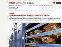 Bild zum Artikel: Tierquälerei: Landkreise verbieten Rinder-Exporte in 14 Länder