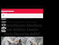 Bild zum Artikel: Kontrollierter Abschuss von Wölfen: immer mehr Deutsche dafür!