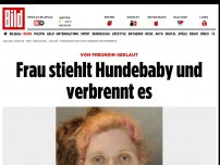 Bild zum Artikel: Von Freundin geklaut - Frau stiehlt Hundebaby und verbrennt es