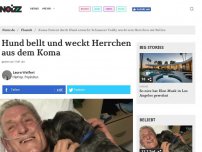 Bild zum Artikel: Hund bellt und weckt Herrchen aus dem Koma