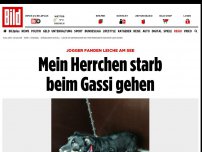 Bild zum Artikel: Leiche am Unterbacher See - Mein Herrchen starb beim Gassi gehen