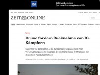 Bild zum Artikel: Syrien: Grüne fordern Rücknahme von IS-Kämpfern