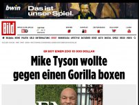Bild zum Artikel: Er bot 10 000 Dollar - Mike Tyson wollte gegen Gorilla boxen