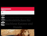 Bild zum Artikel: Reifenkörbchen für obdachlose Katzen und Hunde