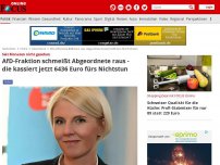 Bild zum Artikel: Nach Ausschluss 'abgetaucht' - Seit Monaten nicht gesehen: Skandal-Politikerin kassiert 6436 Euro fürs Nichtstun