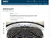 Bild zum Artikel: Die gefährlich gut gemachte Europa-Agenda der AfD