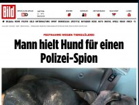 Bild zum Artikel: Festnahme wegen Tierquälerei - Mann hielt Hund für einen Polizei-Spion