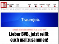 Bild zum Artikel: Offener Brief eines Dortmund-Fans - Lieber BVB, jetzt reißt euch mal zusammen!