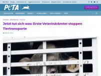 Bild zum Artikel: Jetzt tut sich was: Erste Veterinärämter stoppen Tiertransporte