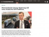 Bild zum Artikel: Österreichische Lösung: Regierung will toten Winkel bei LKW halbieren