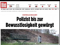 Bild zum Artikel: Kontrolle eskaliert - Polizist bis zur Bewusstlosigkeit gewürgt