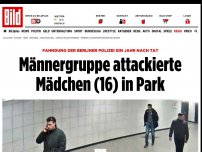 Bild zum Artikel: Fahndung nach einem Jahr - Männer belästigen Mädchen (16) in Berliner Park