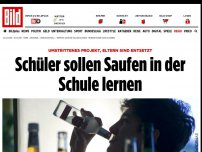 Bild zum Artikel: Eltern entsetzt über Projekt - Schüler sollen Saufen in der Schule lernen