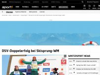 Bild zum Artikel: Skisprung-Wahnsinn! Skispringer holen Doppelsieg