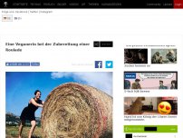 Bild zum Artikel: Eine Veganerin bei der Zubereitung einer Roulade