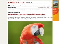 Bild zum Artikel: Trauer im Karlsruher Zoo: Papagei aus Pippi-Langstrumpf-Film gestorben