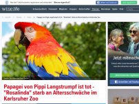 Bild zum Artikel: Papagei von Pippi Langstrumpf ist tot  - 'Rosalinda' starb an Altersschwäche im Karlsruher Zoo