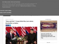 Bild zum Artikel: 'Muss aufs Klo': Trump bittet Kim, kurz seinen Atomkoffer zu halten