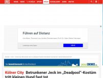 Bild zum Artikel: Kölner City: Betrunkener Jeck im „Deadpool“-Kostüm tritt kleinen Hund fast tot