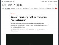 Bild zum Artikel: Klimastreik: Greta Thunberg demonstriert mit Schülern in Hamburg