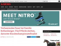 Bild zum Artikel: Verheerendes Feuer bei Familie Rothenberger: Fünf Pferde sterben, darunter Bundeschampionatsfinalist