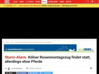 Bild zum Artikel: Keine Pferde : Kölner Rosenmontagszug findet statt – aber es gibt Einschränkungen