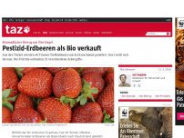 Bild zum Artikel: Mutmaßlicher Betrug mit Öko-Siegel: Pestizid-Erdbeeren als Bio verkauft