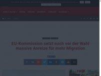 Bild zum Artikel: EU-Kommission setzt noch vor der Wahl massive Anreize für mehr Migration