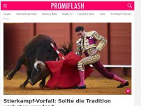 Bild zum Artikel: Stierkampf-Vorfall: Sollte die Tradition verboten werden?