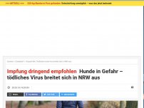 Bild zum Artikel: Das müssen Sie jetzt wissen: Tödliches Hunde-Virus breitet sich in NRW aus