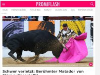 Bild zum Artikel: Schwer verletzt: Berühmter Matador von Stier aufgespießt!