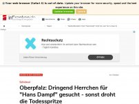 Bild zum Artikel: Weiden/Oberpfalz: Dringend Herrchen für 'Hans Dampf' gesucht - sonst droht Todesspritze