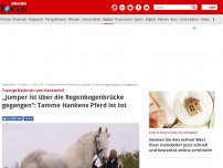 Bild zum Artikel: Traurige Nachricht vom Hankenhof - „Jumper ist über die Regenbogenbrücke gegangen“: Tamme Hankens Pferd ist tot