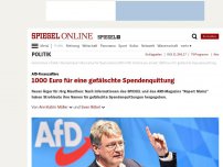 Bild zum Artikel: AfD-Finanzaffäre: 1000 Euro für eine gefälschte Spendenquittung