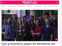 Bild zum Artikel: Fans protestieren gegen die Absetzung von 'Shadow Hunters'