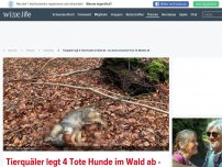 Bild zum Artikel: Tierquäler legt 4 Tote Hunde im Wald ab - sie waren zwischen 9 bis 12 Monate alt