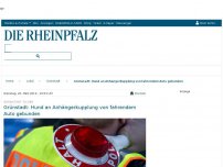 Bild zum Artikel: Grünstadt: Hund an Anhängerkupplung von fahrendem Auto gebunden