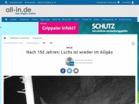 Bild zum Artikel: Nach 150 Jahren: Luchs ist wieder im Allgäu