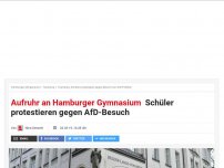 Bild zum Artikel: Aufruhr an Hamburger Gymnasium: Schüler protestieren gegen AfD-Besuch