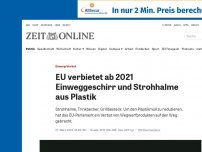 Bild zum Artikel: Einweg-Verbot: EU verbietet ab 2021 Einweggeschirr und Strohhalme aus Plastik