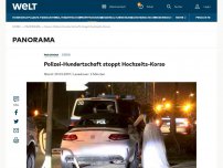 Bild zum Artikel: Polizei-Hundertschaft stoppt Hochzeits-Corso