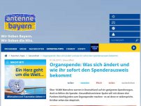 Bild zum Artikel: Organspende: Was sich ändert und wie ihr sofort den Spenderausweis bekommt