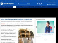 Bild zum Artikel: Katze in Nürnberg brutal erschlagen - Zeugenaufruf